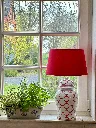 IMG_4630.webp